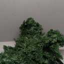 Christmas Tree 120 in Green, Decorative Artificial Tree, Lights, Ornament and Xmas Decoration for Celebration Scene, Party, Living, Winter