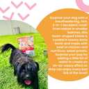 I AND LOVE AND YOU Baked and Saucy Dry Dog Food - Lamb + Sweet Potato - Prebiotic + Probiotic, Real Meat, Grain Free, No Fillers, 4lb Bag (EXP 08/11/26)