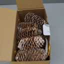 JOHOUSE 28PCS Natural Pine Cones with Strings, Hanging Christmas Ornaments, Garland/Wreath DIY, Autumn Winter Vase Fillers & Farmhouse Decor