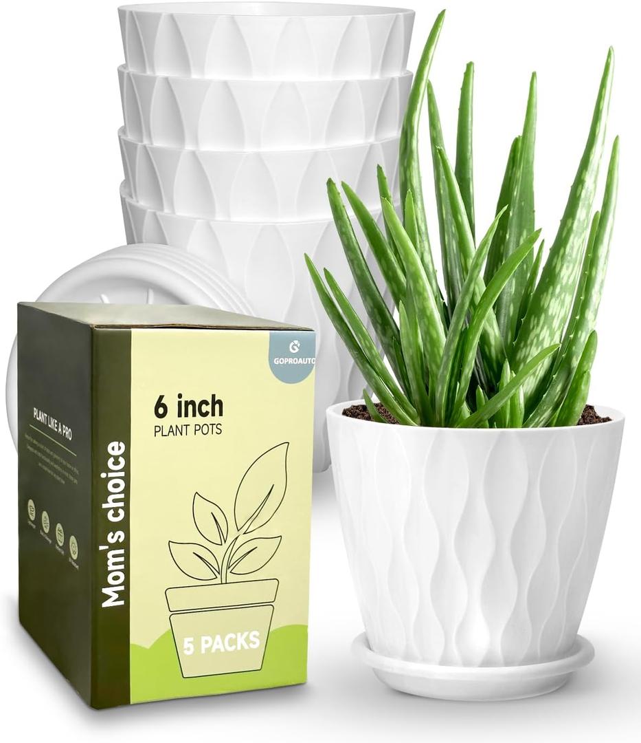 6 Inch Indoor Planter Pots with Drainage Hole and Tray Saucer,Flower Pots for Indoor Outdoor Garden Plants and Flowers, Multicolor, 5 Packs (White)