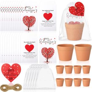 Ctosree 24 Sets Valentine's Day Gifts Bulk Heart Seed Packet Valentine's Day Party Favor for Guests with Seed Packets Flowerpot Tags Organza Bags for Galentine Valentines Exchange Gifts