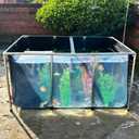 Aquarium Pool Pond,Collapsible Fish Ponds for Outside with Transparent Clear Viewing Panel,270 Gallon Fish Tank,PVC Canvas Above Ground Pond,Indoor/Outdoor Pond for Koi,Goldfish,with Drain Valve