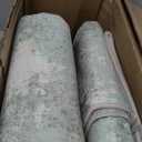 Area Rugs 6x9 for Living Room Bedroom, Modern Abstract Machine Washable Rug, Large Soft Low Pile Floor Carpet with Non Slip Backing for Dining Room, Light Green