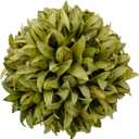3.5inch Decorative Balls Bowl/Tray &Floral Orb/Ball with Dried Potpourri, Artificial Decorative Balls for Vase Bowl Filler Table Decor for Home,Spa,Reiki, Set of 3