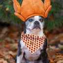 4 x Elegant little tail Thanksgiving Dog Bandana, 1Pack Holiday Dog Scarf Turkey Dog Bandana Winter Adjustable Dog Scarf Handkerchief Boy Girl Dog Bibs Scarf for Square Dog Kerchief for Small Large Dogs