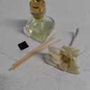 AGRARIA PetiteEssence Flower and Reed Diffuser Set, Handcrafted Sola Flower Botanical Home Fragrance, Scented Oil Diffuser Gift Set for All Occasions