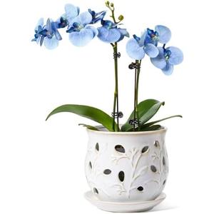 LE TAUCI Ceramic Orchid Pot, 6.5 Inch Orchid Pots with Holes, Orchid Planter for Repotting, Indoor Flower Plant Pot with Drainage and Saucer, Arctic White