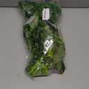 Reptile Plants, Terrarium Hanging Plant Vines Artificial Leaves Reptile Hide, Leopard Gecko Tank Accessories, Terrarium Decorations for Bearded Dragon Lizard Snake Geckos Chameleon