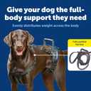 PetSafe CareLift Dog Lift Harness, Full Body Lifting & Support Sling with Handle & Shoulder Strap, Large