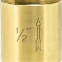Eastman Brass In-Line Check Valve, 3/4 Inch IPS Threaded Connection, Stainless Steel Spring, 20403LF
