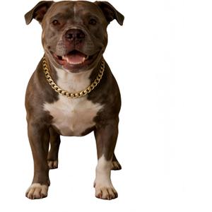 Gold Cuban Link Dog Chain Collar,Heavy-Duty,Fade-Resistant Metal Necklace for Medium & Large Dogs, Durable & Stylish Pet Jewelry (Gold, 18"(Neck Fits 1417 in))
