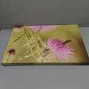 Trademark Fine Art Skipper on Pink Thistle Canvas Wall Art by Lois Bryan, 30 by 47-Inch (47L" x 30W")