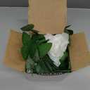 Felice Arts 2 Pack Cream Artificial Rose Vine Each 6.5FT Fake Rose Garland Hanging Flower Garland for Wedding Arch Table Arrangement Garden Swing Teepee Decor