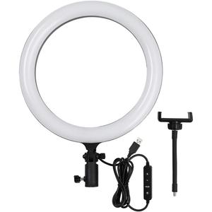 GODOX LR120 12 Inch LED Ring Light Photography Light Fill-in Light 3000K-6000K Bi-Color Temperature Adjustable Brightness USB Powered with Phone Holder for Live Streaming Selfie Makeup Photography