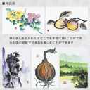 2 x Sumikundo 15504 Painting, Face Color, 12 Colors