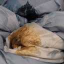 Mybedsoul King Size Comforter Set 7 Pieces, Bed in a Bag Soft Microfiber Bedding, Luxury Blue Floral Elegant Design, All Seasons Comforter Bed Set with Sheets, Pillowcases & Shams