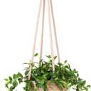 Hanging Planter Basket Jute Rope Woven Plant Hangers Indoor Hanging Plant Holder Up to 7" Pot Macrame Modern Storage Organizer Home Decor (Jute)