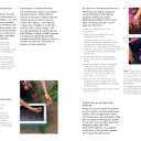 The Container Gardening Handbook: A Beginners Guide to Growing Flowers in Pots