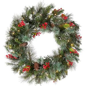 National Tree Company 24 in Pre-Lit Wintry Pine Artificial Christmas Wreath, Christmas Decoration with Pinecones, Red Berries, Snowy Bristle, 50 Clear Lights, 113 Tips, Green