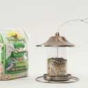 Wagner's 52003 Classic Blend Wild Bird Food, 6-Pound Bag