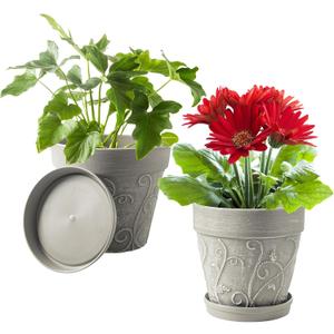 Melphoe Plant Pots Indoor with Drainage & Saucer, 2Pack 8 inch Flower Pots Outdoor Planters for Indoor Plants Garden Home Decor Cactus Succulent, Rigid Plastic (Imitation-Terracotta) Vine-Embossed
