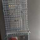 32" Heavy-Duty Humane Animal Trap Cage