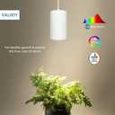 Hanging Grow Light 40W Large, Full Spectrum Warm White Color Plant Lamp, 120V Plug-in with Timer, 15FT Fabric Power Cord, Decorative Pendant Plant Light