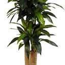 Nearly Natural 4ft. Corn Stalk Dracaena Silk Plant (Real Touch)