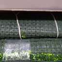 ODTORY Artificial Boxwood Roll Panel 80X120 in (67 sqft) Greenery Backdrop