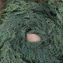 9Ft Christmas Garland, Realistic Cedar Cypress Norfolk Pine Greenery Garland Faux Christmas Decorations for Mantle, Fireplace, Table, Stairs, Doors, Porch, Indoor Outdoor Christmas Decor