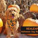 Realeaf Halloween Dog Bandanas 2 Pack, Pumpkin and Spider Web Bibs, Triangle Reversible Fall Pet Scarf, Premium Durable Fabric, Adjustable Fit (X-Large)