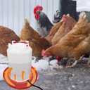 Chicken Water Heater Cord, Freeze-Proof Heated Waterer for Chickens & Poultry, Safe Low-Watt Heating Cable Keeps Water Ice-Free in Winter for Ducks, Rabbits & Small Animals (1 Pack)