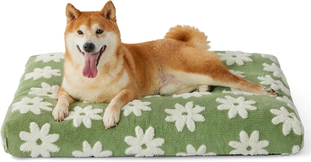LE SURE Dog Beds Large Sized-Thick Shredded Chopped Foam Pet Bed Indoor with Removable Cover, Cute Modern Fuzzy Plush & Anti Slip Bottom, Green (35.0"L x 22.0"W x 4.0"Th)