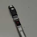 Light up Dog Collar - Multi-Color LED Dog Collar, USB-C Rechargable with Battery Indicator, Waterproof and Adjustable Rainbow Collar for Dogs (Medium)