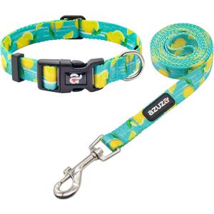 azuza Dog Collar and Leash Set, Lemon Patterns on Blue Nylon Collar and Matching 6ft Leash, Adjustable for Small Dogs (S (Neck: 11"-16"), 2#Fruit-Lemon)