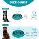 Outward Hound Large Slow Feeder Bowl, Puzzle Maze for Fast Eaters, Medium to Large Dogs, Helps Prevent Bloat & Aid Digestion, Holds 4 Cups Wet or Dry Food, Non-Slip, Made Without BPA, Turquoise