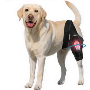 Nylvian Dog Knee Brace for Torn Acl Hind Leg - Adjustable Stabilizing Support for Ccl Injury, Luxating Patella, Hind Leg Pain & Arthritis - Rear Leg Limp Support