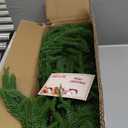 30 Pcs Christmas Real Touch Norfolk Stems, 15Inch Artificial Pine Branches Faux Evergreen Pine Sprigs Fake Foliage Greenery Picks for Christmas Wreath Making DIY Crafts Home Decor (30, Dark Green)