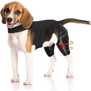 Pawfun Dog Knee Brace for Torn ACL Hind Leg – Adjustable Dog Leg Braces for Both Back Legs with 4 Stabilizers, Strong Support for Torn CCL, Luxating Patella, Ligament Injuries, Hip Dysplasia,2XL