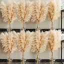 40" inch 40 Stems Natural Pampas Grass Decor Tall, pompas Grass, Tall Pampas Grass for Wedding, Party, Farmhouse, Boho Home Decor