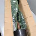Jexine 2 Pack Artificial Palm Trees 3Ft, Fake Plants Fake Trees Artificial Areca Palm Plants for Outdoor Indoor Faux Tree in Pot for Pool Home Decor Office Housewarming Gift Modern Decoration