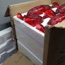 24 Pcs Red Vintage Wine Glasses Set, 10 Ounces Colored Glass Water Goblets, Unique Floral Embossed Pattern High Clear Stemmed Glassware Wedding Party Bar Drinking Cups Fancy Glasses Hand Wash Only