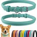 CollarDirect Rolled Leather Dog Collar, Soft Padded Round Puppy Collar, Handmade Genuine Leather Collar Dog Small Large Cat Collars 13 Colors (13-16 Inch, Mint Green Smooth)