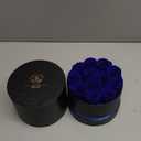Forever Flowers,12 Roses in A BoxReal Preserved RosesBirthday Gift for Women,Mother's Day, Anniversary - Blue Rose