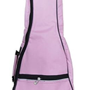 Waterproof Durable Colorful Ukulele Case Bag with Storage (21in, pink)