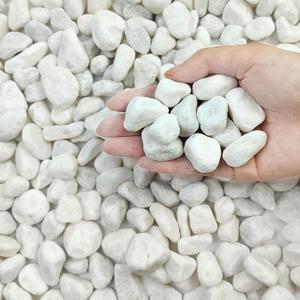 FANTIAN 5 lbs White Pebbles for Indoor Plants, 0.5-1 Inch Pea Gravel Stones for Planters, Decorative River Rocks for Succulent, Cactus, Vases, Aquariums, Crafting and Garden Landscaping