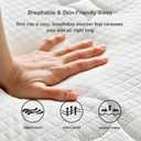Queen Size Mattress in a Box 60x80 Inch 10 Inch Independent Pocket Spring Soft Comfortable Quiet Support Polyester Cover