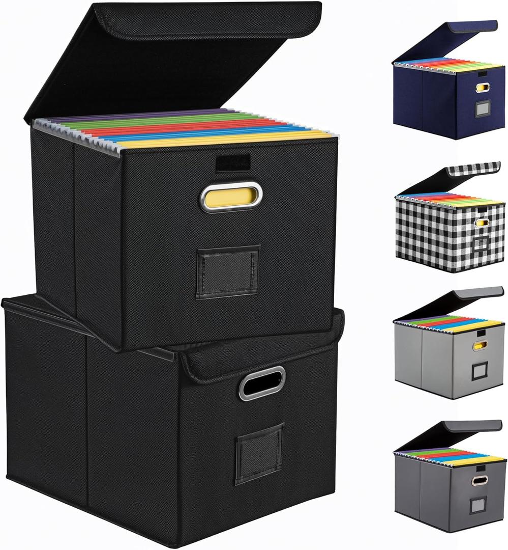 Hleelomi Collapsible File Box with Lid & Plastic Slide - Hanging Document Organizer for Office/Home, 14.96x12.6x10.83 Inch,Black, 2 Pack (No Folders Included)