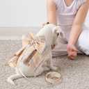 Potchen 4 Pcs Cute Plaid Dog Dress Set with Bow Tie Harness & Leash for Small Dogs, Puppy Clothes for Girls Outfits(L,Light Color)