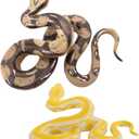 Fake Snake 2Pcs 2 Style Curl-Up Realistic Snake That Look Real Long Lasting PVC Toy for Prank, Backdrop, Halloween